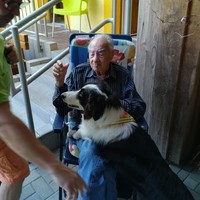 tiertherapie-8.jpg