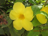 img-0007-3.jpg
